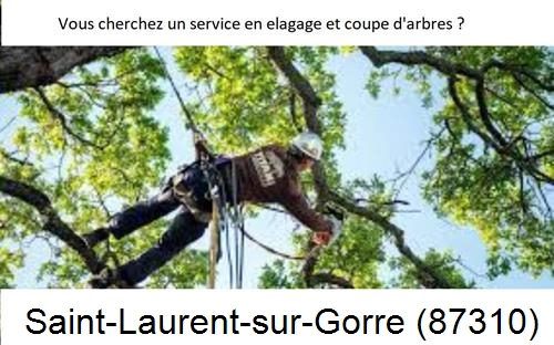 Etêtage d'arbres à Saint-Laurent-sur-Gorre-87310