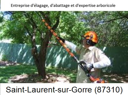 Coupe tête d'arbres Saint-Laurent-sur-Gorre-87310