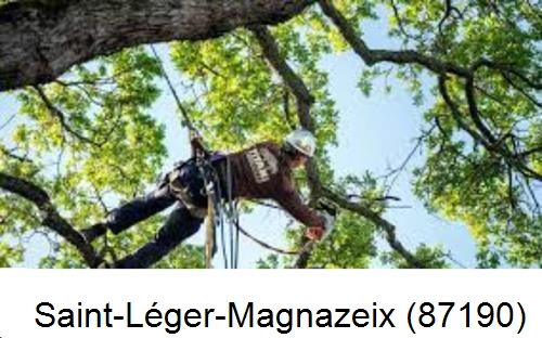 Abattage d'arbres chez un particulier Saint-Léger-Magnazeix-87190