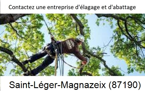 Travaux d'élagage à Saint-Léger-Magnazeix-87190