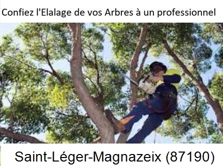 Société d'élagage à Saint-Léger-Magnazeix-87190