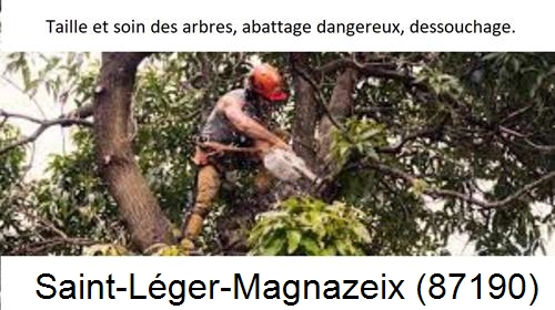 Abattage d'arbres Saint-Léger-Magnazeix-87190