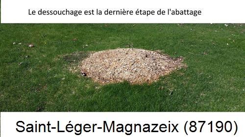 déssouchage d'arbres Saint-Léger-Magnazeix-87190