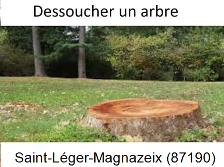 Travaux d'entretien extérieur Saint-Léger-Magnazeix-87190