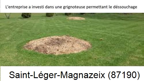 Artisan pour déssouchage d'arbres Saint-Léger-Magnazeix-87190