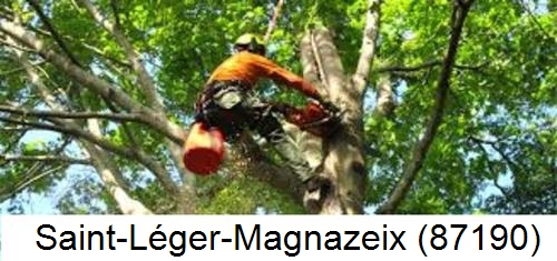 Déssouchage, étêtage d'arbres Saint-Léger-Magnazeix-87190