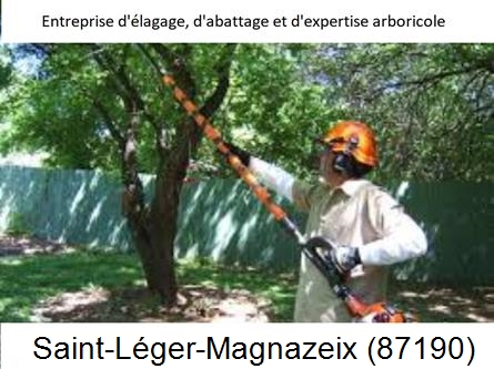 Coupe tête d'arbres Saint-Léger-Magnazeix-87190