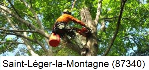 Entreprise du paysage Saint-Léger-la-Montagne-87340