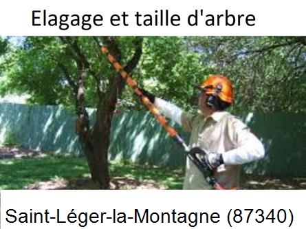 Elagage chez particulier Saint-Léger-la-Montagne-87340