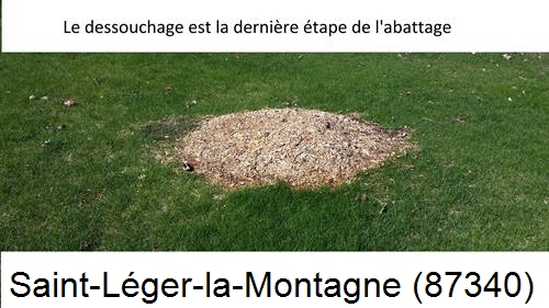 déssouchage d'arbres Saint-Léger-la-Montagne-87340