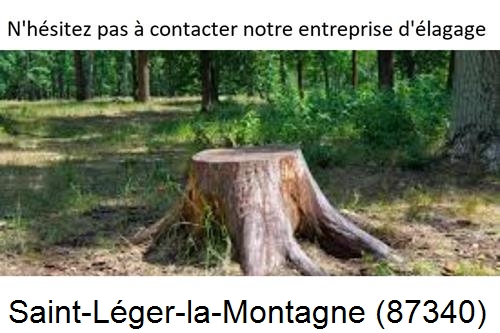 Elagage d'arbres à Saint-Léger-la-Montagne-87340