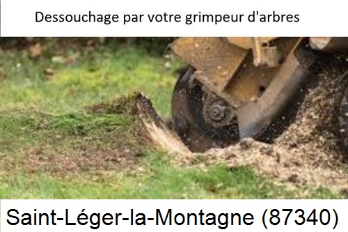 abattage d'arbres à Saint-Léger-la-Montagne-87340