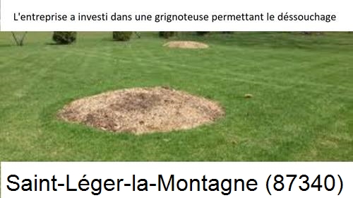 Artisan pour déssouchage d'arbres Saint-Léger-la-Montagne-87340