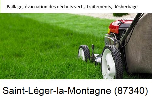 Entreprise de paysage pour entretien de jardin Saint-Léger-Magnazeix-87190