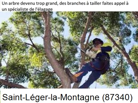 Elagueur qualifié à Saint-Léger-la-Montagne-87340