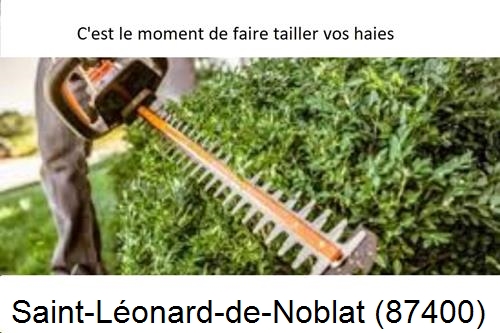 Entreprise de paysage Saint-Léonard-de-Noblat-87400
