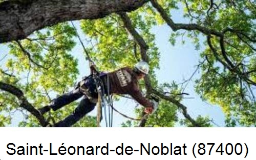 Abattage d'arbres chez un particulier Saint-Léonard-de-Noblat-87400