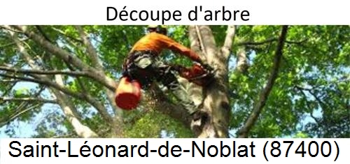 Entreprise du paysage Saint-Léonard-de-Noblat-87400