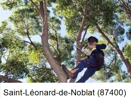 Elagueur à Saint-Léonard-de-Noblat-87400