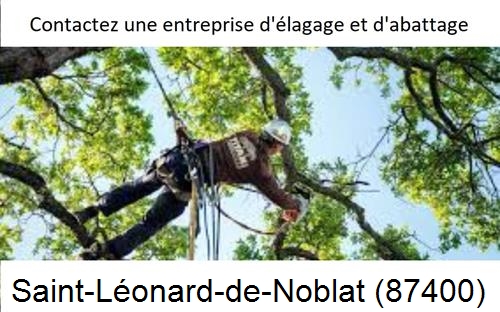 Travaux d'élagage à Saint-Léonard-de-Noblat-87400