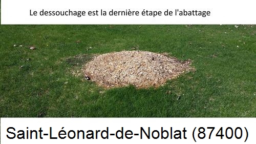 déssouchage d'arbres Saint-Léonard-de-Noblat-87400