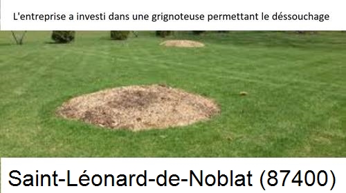 Artisan pour déssouchage d'arbres Saint-Léonard-de-Noblat-87400