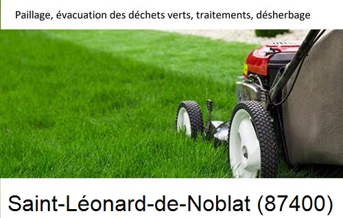 Entreprise de paysage pour entretien de jardin Saint-Martial-sur-Isop-87330