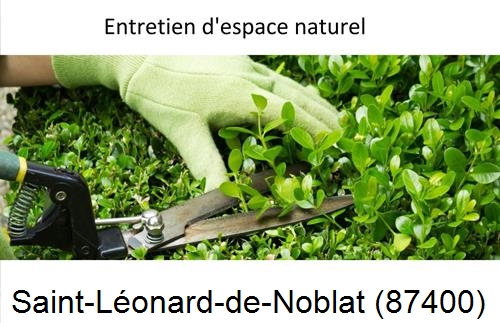 Rénovation jardin particulier Saint-Martial-sur-Isop-87330