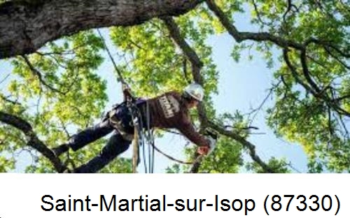 Abattage d'arbres chez un particulier Saint-Martial-sur-Isop-87330