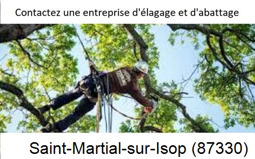 Travaux d'élagage à Saint-Martial-sur-Isop-87330