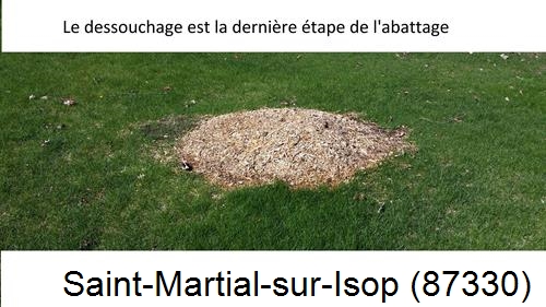 déssouchage d'arbres Saint-Martial-sur-Isop-87330