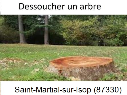 Travaux d'entretien extérieur Saint-Martial-sur-Isop-87330