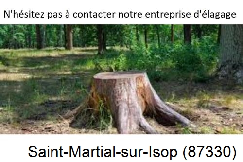 Elagage d'arbres à Saint-Martial-sur-Isop-87330