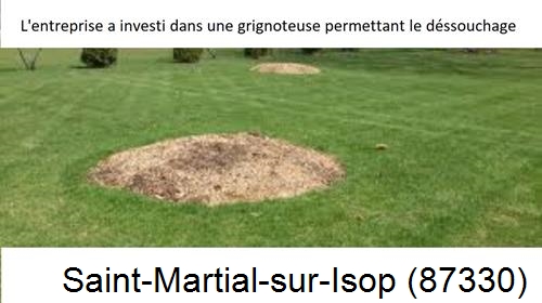 Artisan pour déssouchage d'arbres Saint-Martial-sur-Isop-87330