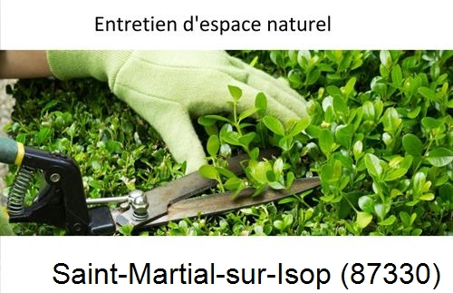 Rénovation jardin particulier Saint-Martin-de-Jussac-87200