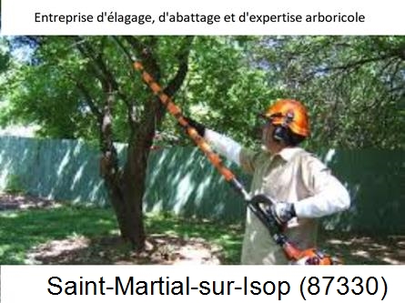 Coupe tête d'arbres Saint-Martial-sur-Isop-87330