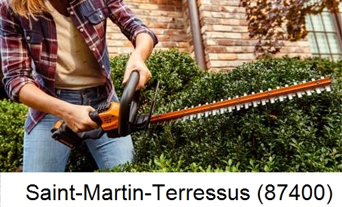 entretien jardin par paysagiste Saint-Martin-Terressus-87400
