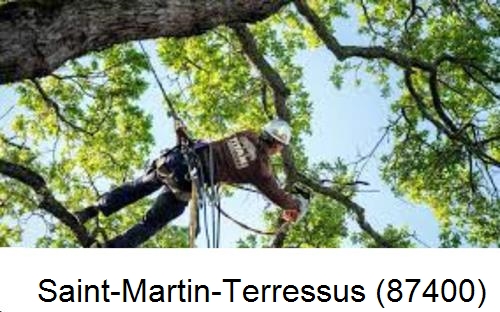 Abattage d'arbres chez un particulier Saint-Martin-Terressus-87400