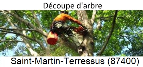 Entreprise du paysage Saint-Martin-Terressus-87400