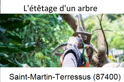 Artisan Abatteur d'arbres Saint-Martin-Terressus-87400