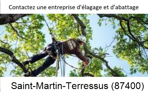 Travaux d'élagage à Saint-Martin-Terressus-87400