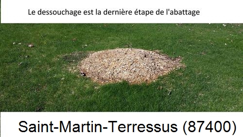 déssouchage d'arbres Saint-Martin-Terressus-87400