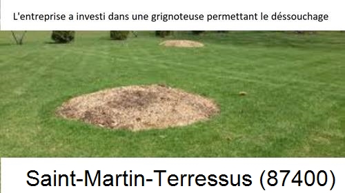 Artisan pour déssouchage d'arbres Saint-Martin-Terressus-87400