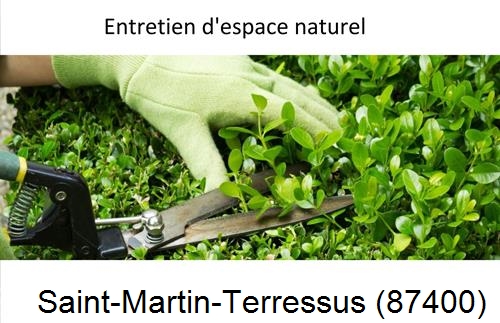 Rénovation jardin particulier Saint-Mathieu-87440