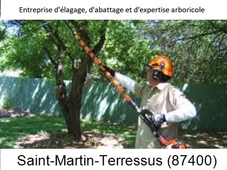 Coupe tête d'arbres Saint-Martin-Terressus-87400