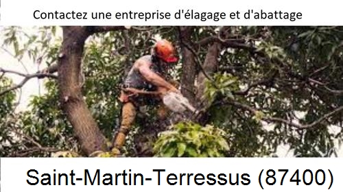Entreprise d'élagage à Saint-Martin-Terressus-87400