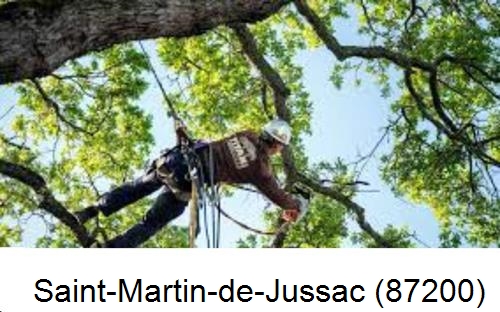 Abattage d'arbres chez un particulier Saint-Martin-de-Jussac-87200