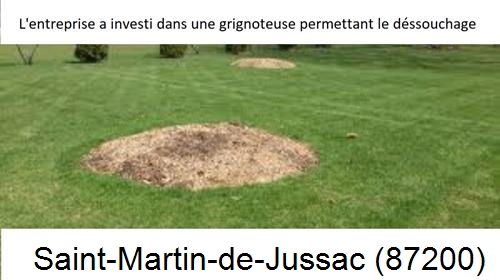 Artisan pour déssouchage d'arbres Saint-Martin-de-Jussac-87200