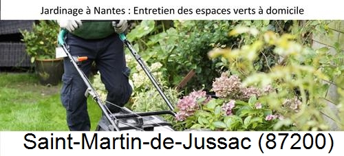 Travaux d'entretien exterieur Saint-Martin-le-Mault-87360