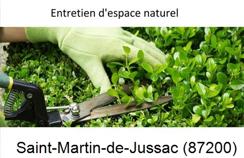 Rénovation jardin particulier Saint-Martin-le-Mault-87360